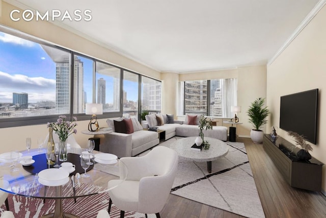 living room featuring a view of city, wood finished floors, and crown molding