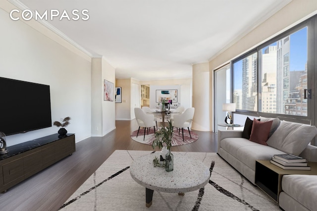 living area featuring wood finished floors, baseboards, and ornamental molding