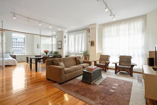 living area with a healthy amount of sunlight, light wood-style flooring, and track lighting