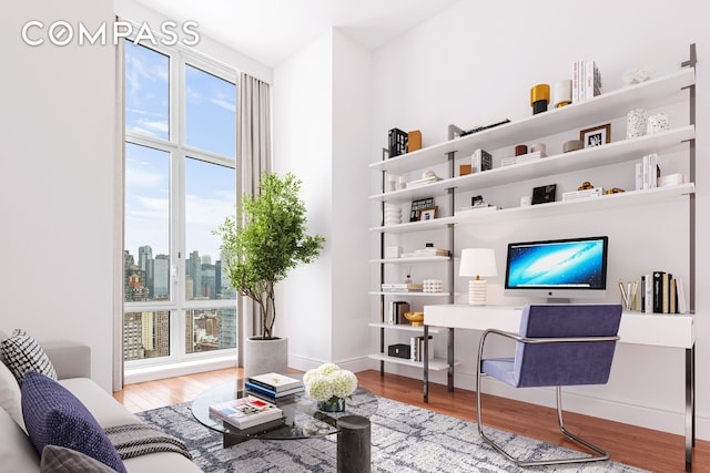 living area featuring baseboards and wood finished floors