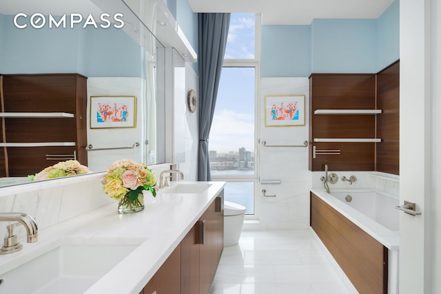 bathroom with plenty of natural light, a sink, and toilet