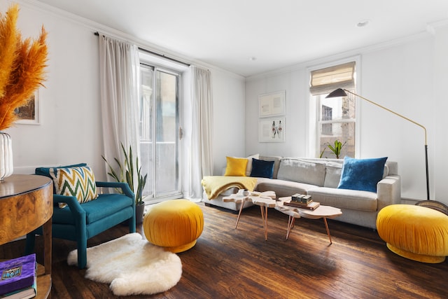 living room featuring wood finished floors and ornamental molding