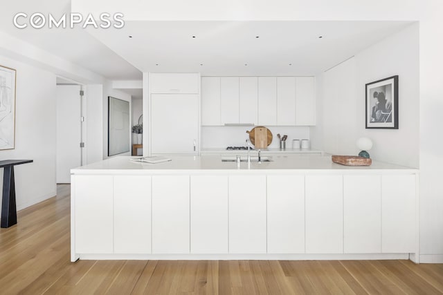 kitchen with light wood-type flooring, light countertops, a sink, and white cabinetry