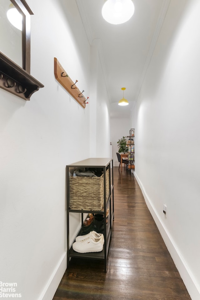 566 Prospect Pl Unit 3D, New York City, NY 11238 - hallway with ornamental molding, wood finished floors, and baseboards