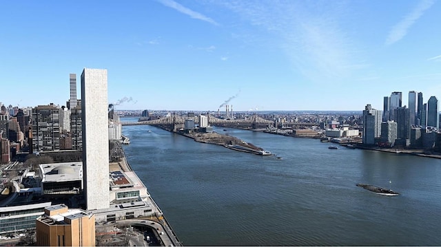 property view of water featuring a view of city