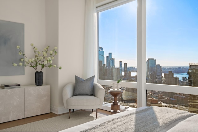 bedroom with baseboards, wood finished floors, and a city view