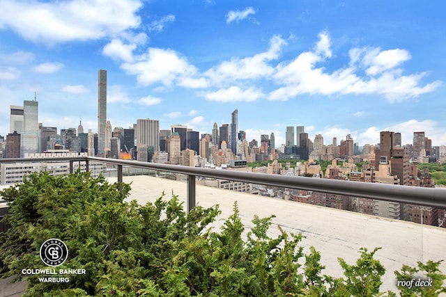 190 E 72nd St Unit 31B, New York City, NY 10021 - skyline view