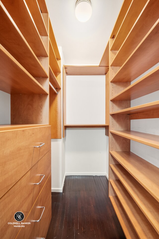 spacious closet with dark wood-style floors