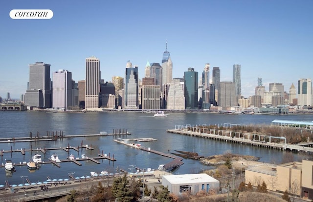 1 Grace Ct Unit 4C, New York City, NY 11201 - view of city skyline featuring a large body of water