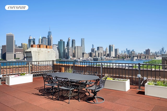 1 Grace Ct Unit 4C, New York City, NY 11201 - view of patio / terrace with a view of skyline