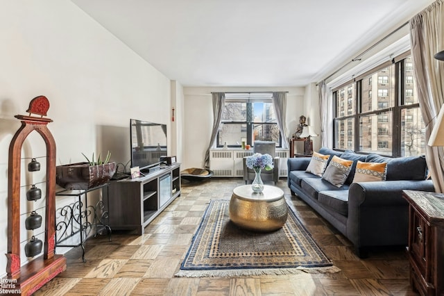 living area featuring radiator heating unit