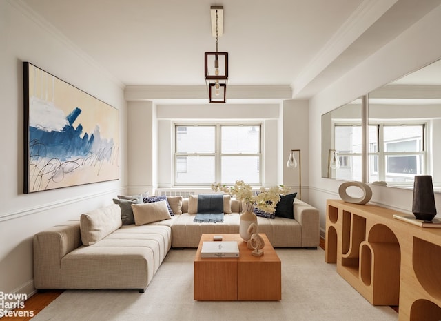 living room featuring crown molding