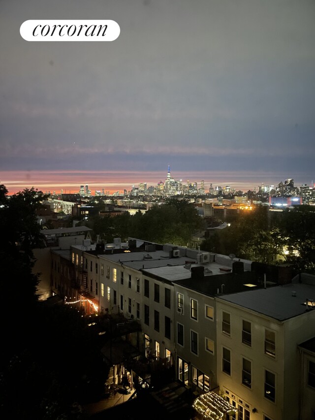 488 4th Ave Unit 6, New York City, NY 11215 - property's view of city