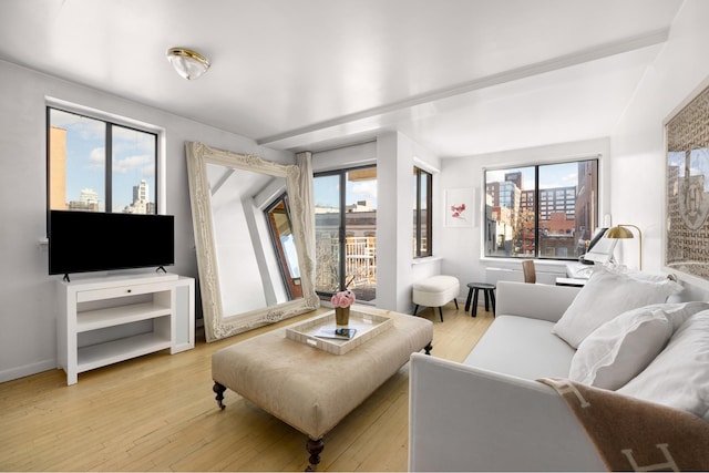 living area featuring baseboards and light wood finished floors