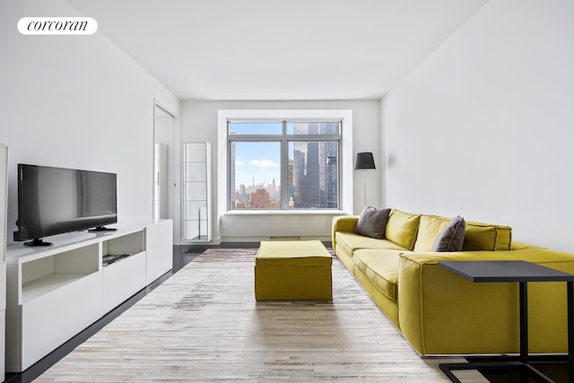living room featuring wood finished floors