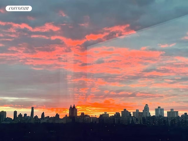 1280 5th Ave Unit 16B, New York City, NY 10029 - view of city skyline