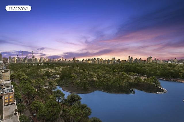 property view of water with a city view