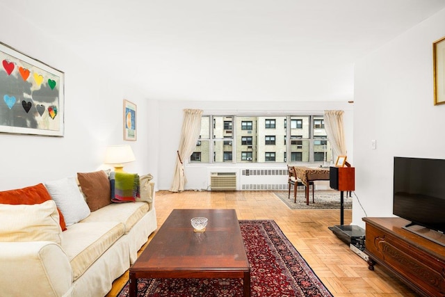 living room featuring radiator heating unit