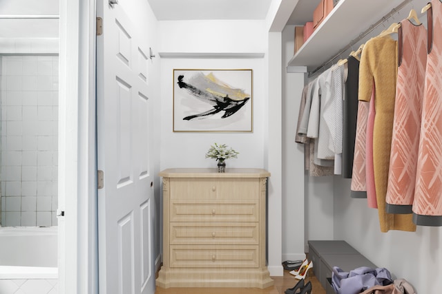 view of walk in closet