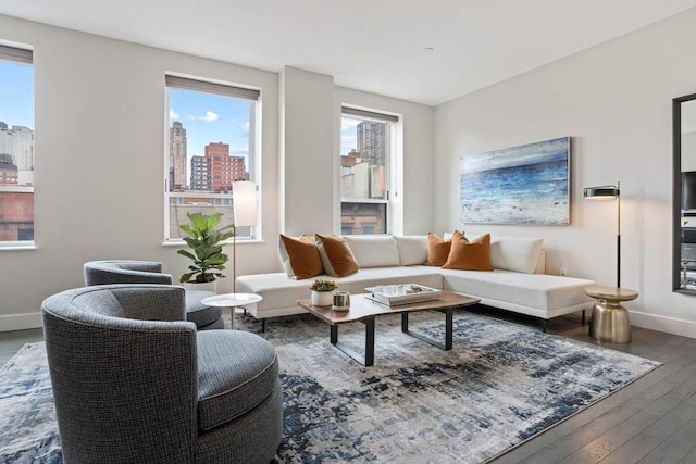 living area with a view of city, baseboards, and hardwood / wood-style flooring