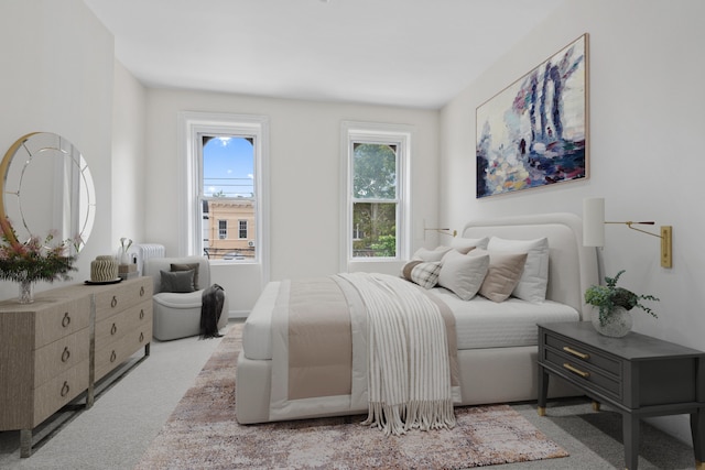 bedroom with carpet