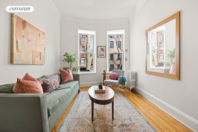 living room with radiator, crown molding, baseboards, and wood finished floors