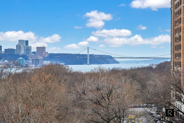 property view of water with a city view