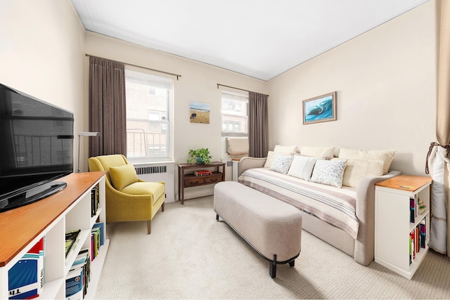 161 E 88th St Unit 6C, New York City, NY 10128 - bedroom with light carpet