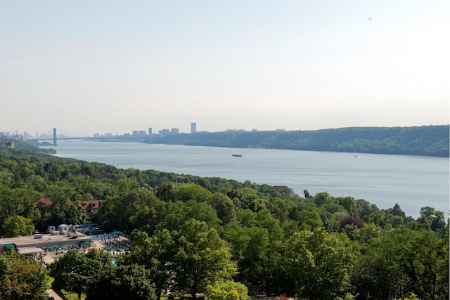 birds eye view of property featuring a water view and a wooded view