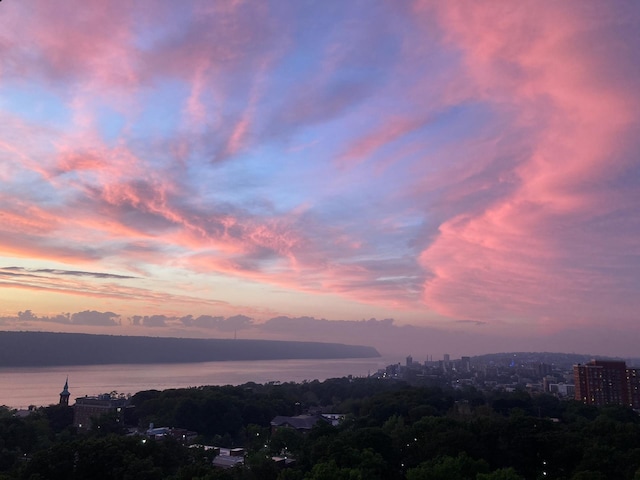 property's view of city featuring a water view