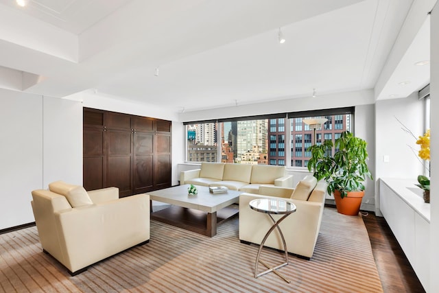 living area featuring light wood finished floors and a city view