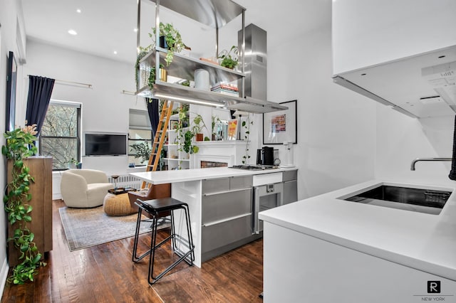 kitchen featuring dark wood finished floors, open shelves, a fireplace, and a sink