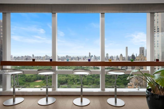 sunroom / solarium featuring a skyline view and plenty of natural light