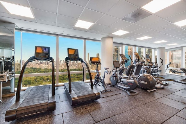 exercise room featuring a wall of windows and a paneled ceiling