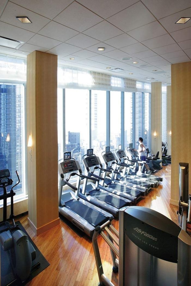 gym with floor to ceiling windows, a drop ceiling, and wood finished floors