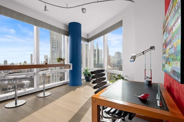 interior space featuring a view of skyline and wood finished floors