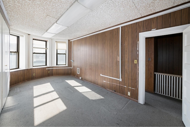 carpeted spare room featuring a wealth of natural light, wood walls, and a textured ceiling