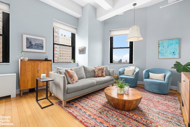 living area featuring baseboards and light wood finished floors