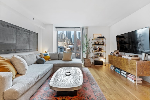 living area with wood finished floors