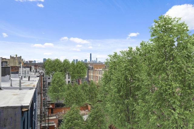 577 Madison St Unit 4B, New York City, NY 11221 - city view