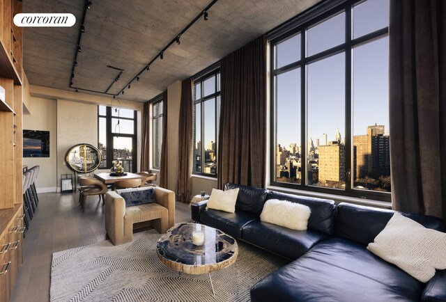 living room featuring rail lighting, wood-type flooring, and a city view