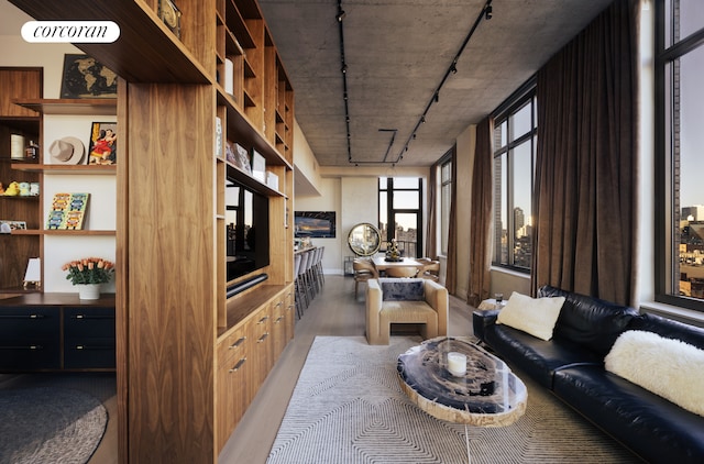 living area with light wood-type flooring and track lighting