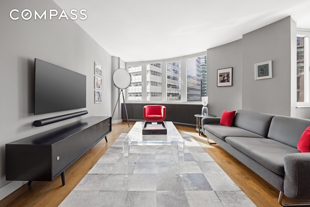 living room featuring wood finished floors