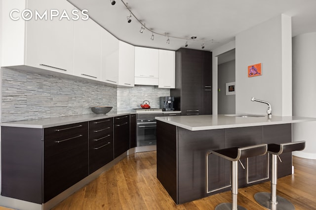 kitchen featuring tasteful backsplash, light wood-style flooring, a kitchen breakfast bar, light countertops, and a sink