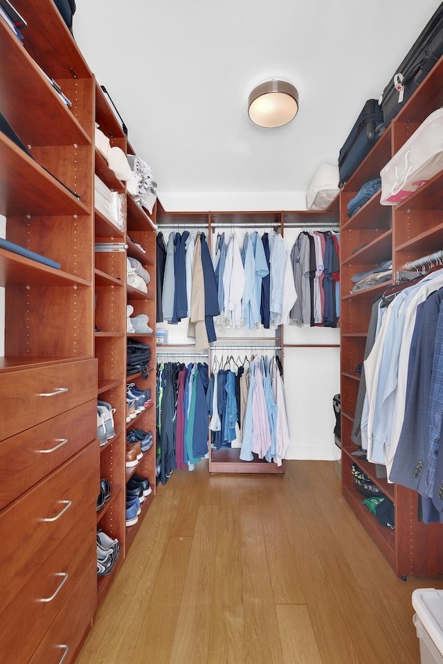 walk in closet featuring wood finished floors