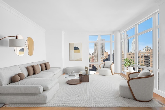 living room featuring a city view, crown molding, and wood finished floors