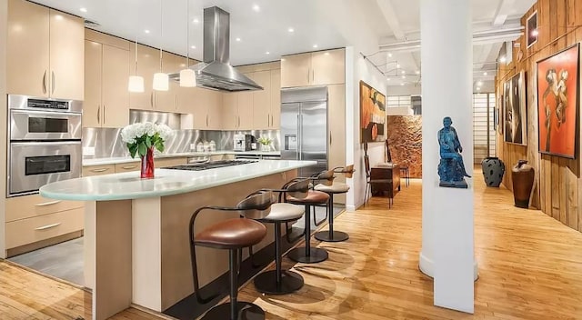 kitchen with light countertops, island range hood, light wood-type flooring, a kitchen island, and appliances with stainless steel finishes