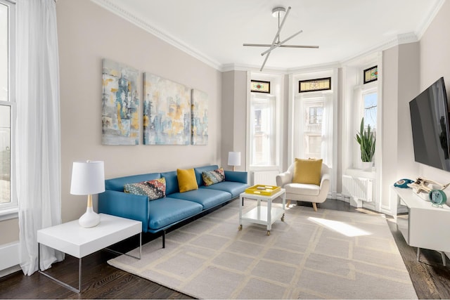 living room featuring radiator, crown molding, baseboards, and wood finished floors