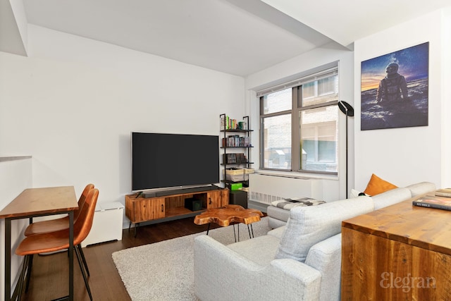 living area featuring dark wood finished floors