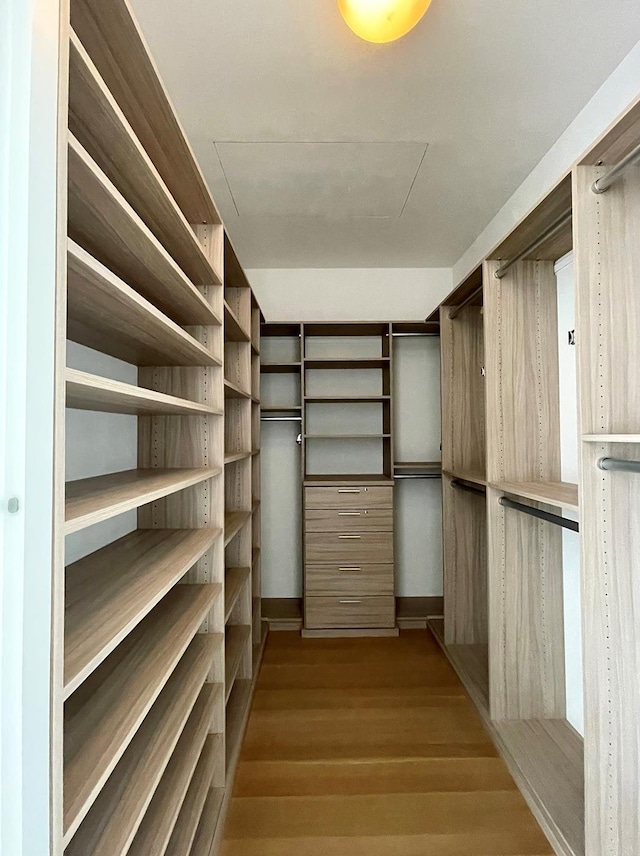 spacious closet with wood finished floors